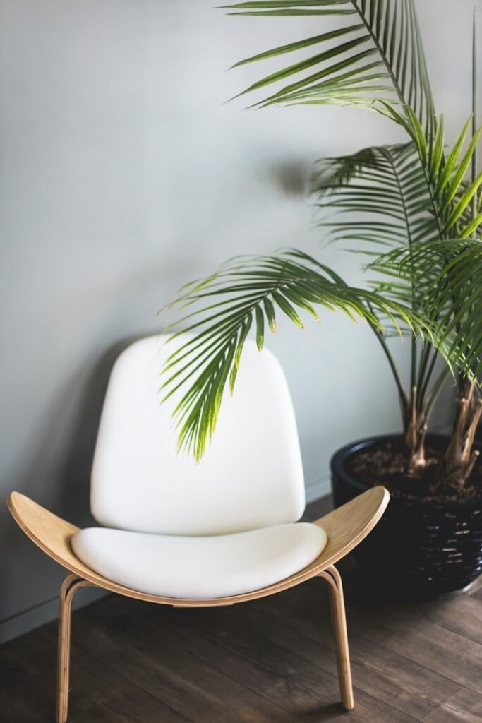Contacto Pinturas Javier Villarroya Zaragoza brown wooden chair beside plant